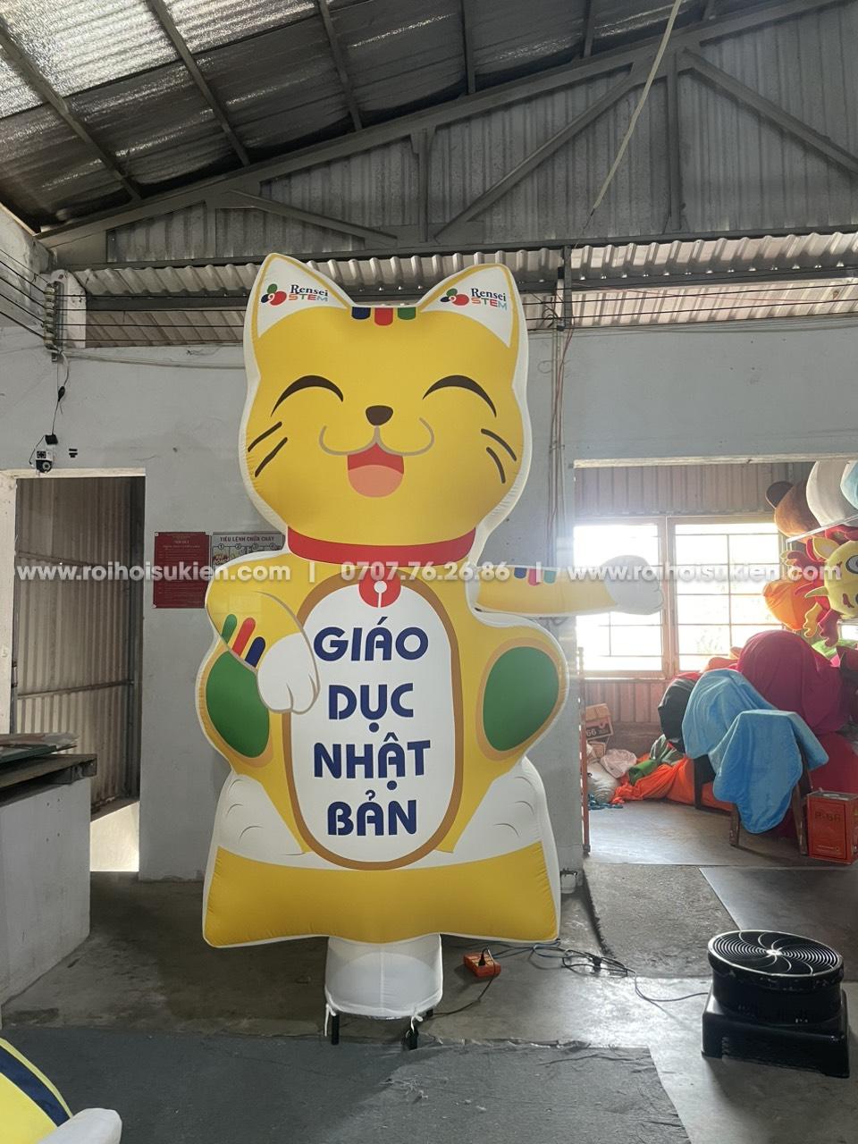 RỐI HƠI MÈO NHẬT BẢN 5 z5371322592967 7e9755acfc0a4cb3dbd176363acb9755