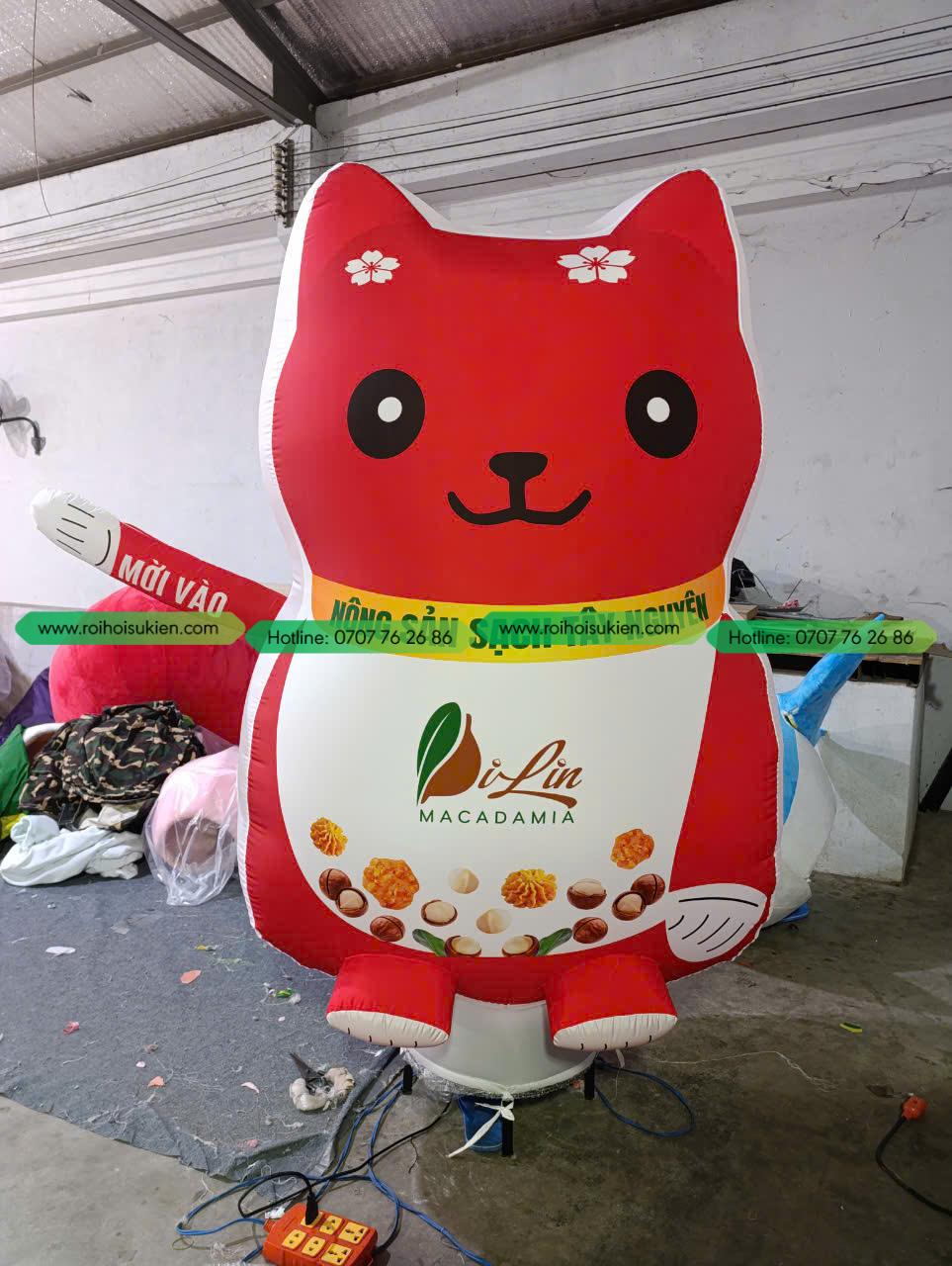 RỐI HƠI MÈO MACADAMIA 1 z5779650099371 ee3f649c20ef181bbdac62dd45676d13