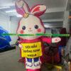 RỐI HƠI THỎ HỒNG 5 z6093969161297 eade096ff03738b7bbac9b340d15e3ae