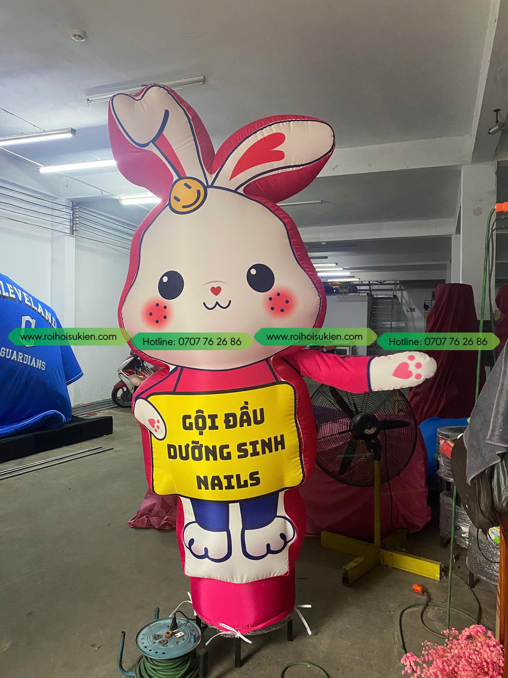 RỐI HƠI THỎ HỒNG 1 z6093969161297 eade096ff03738b7bbac9b340d15e3ae