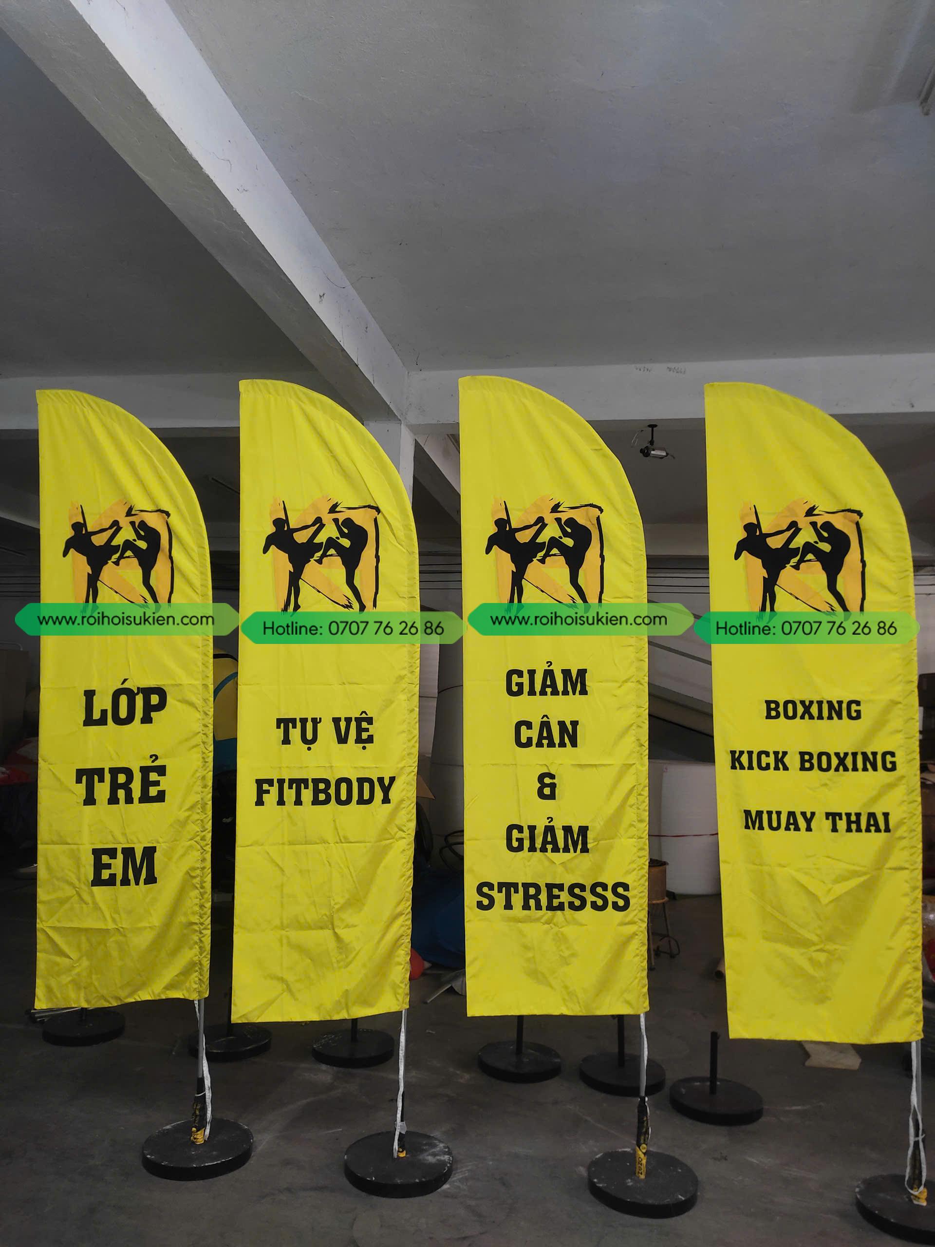 CỜ PHƯỚN BOXING 1 z6328014766734 1f76bd4a69e4e1773d4b0c47baf7b961