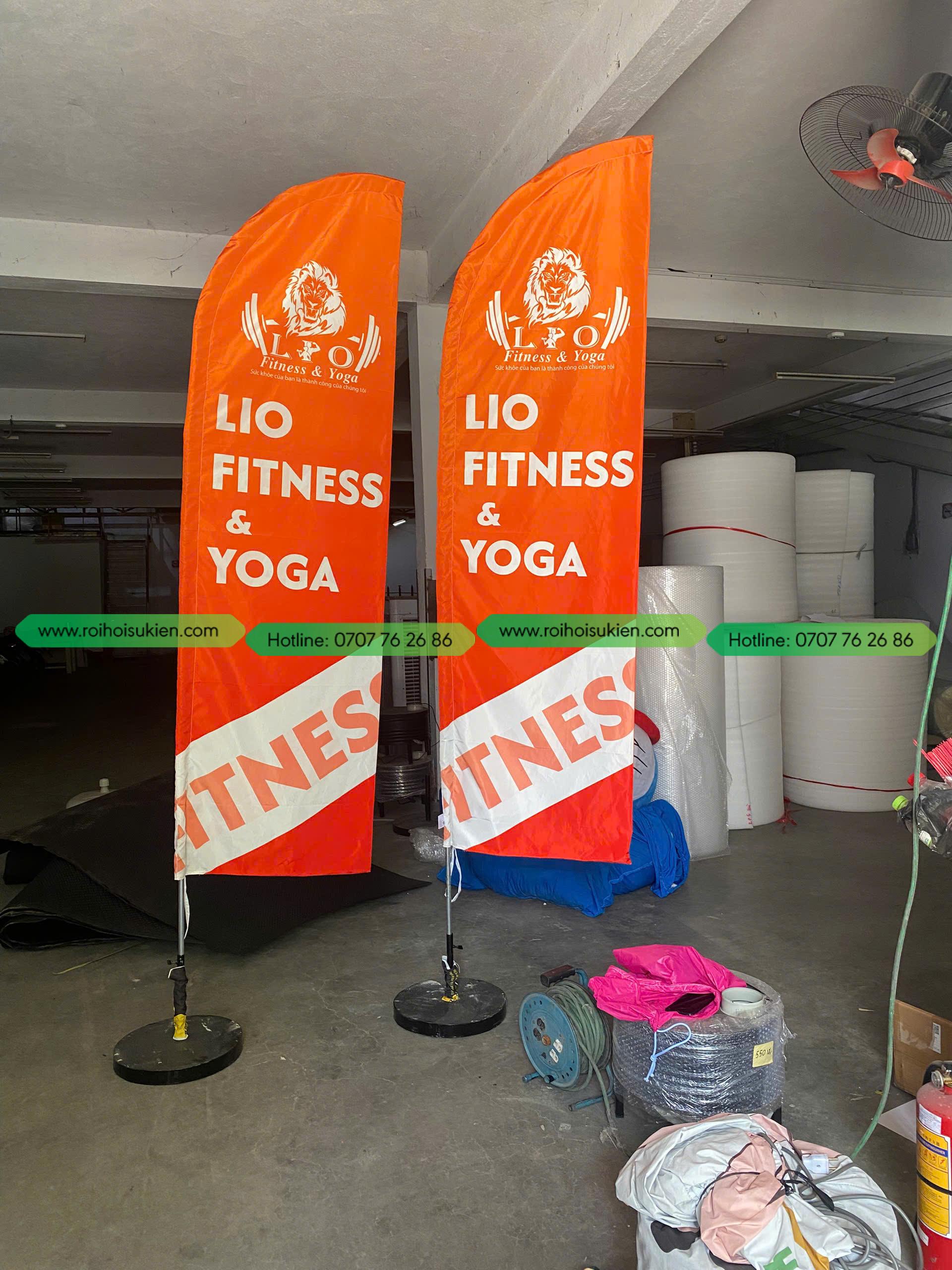 CỜ PHƯỚN LIO FITNESS VÀ YOGA 1 z6405440010791 0766cc8118239469151405891e1bc0dd