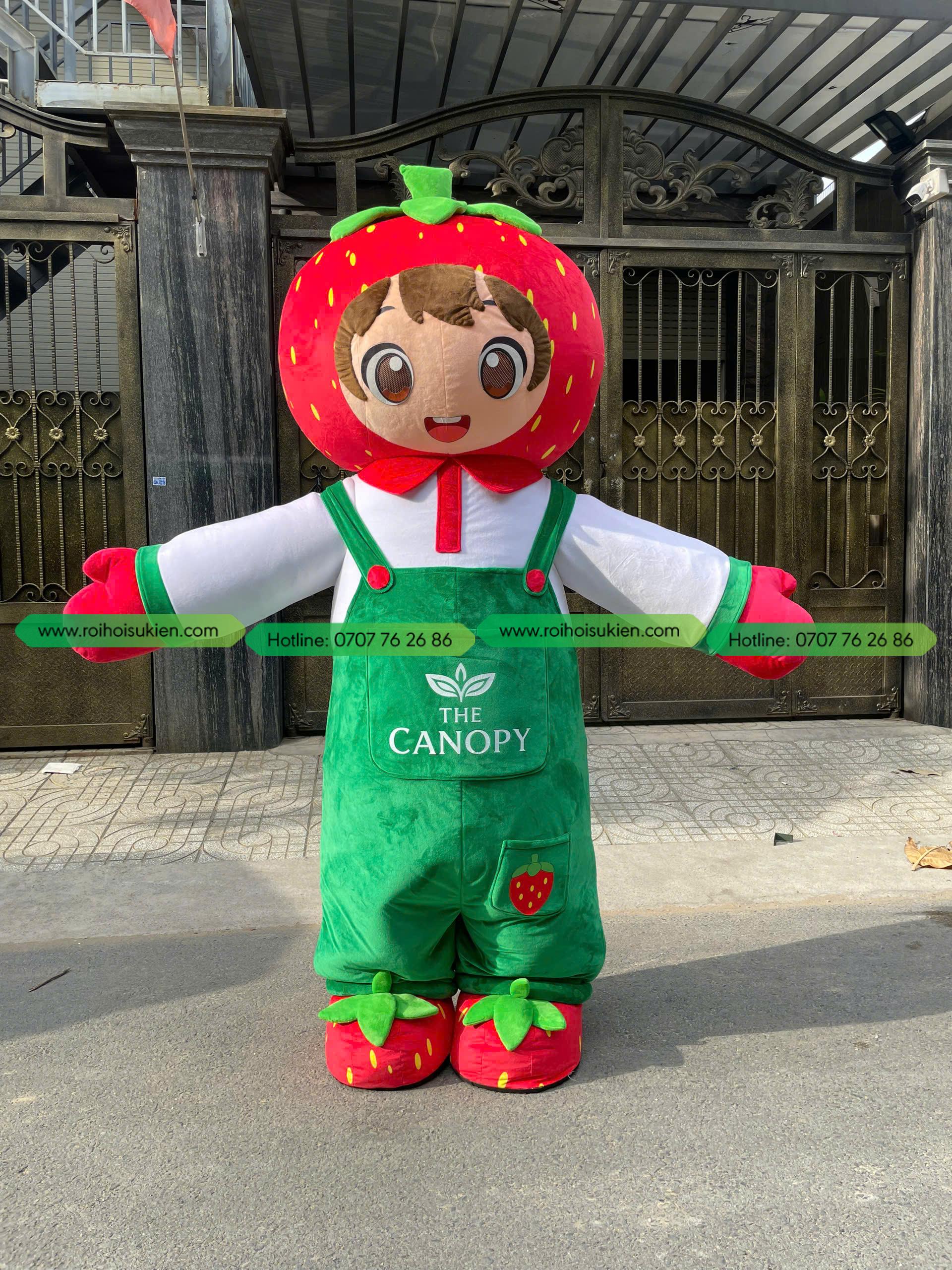 Mascot Cậu Bé Dâu Tây The Canopy 5 1784366775267 6328291126941571919 g7873878496829699800 43eda10dac2b8a00b3cae6e798a2c01d