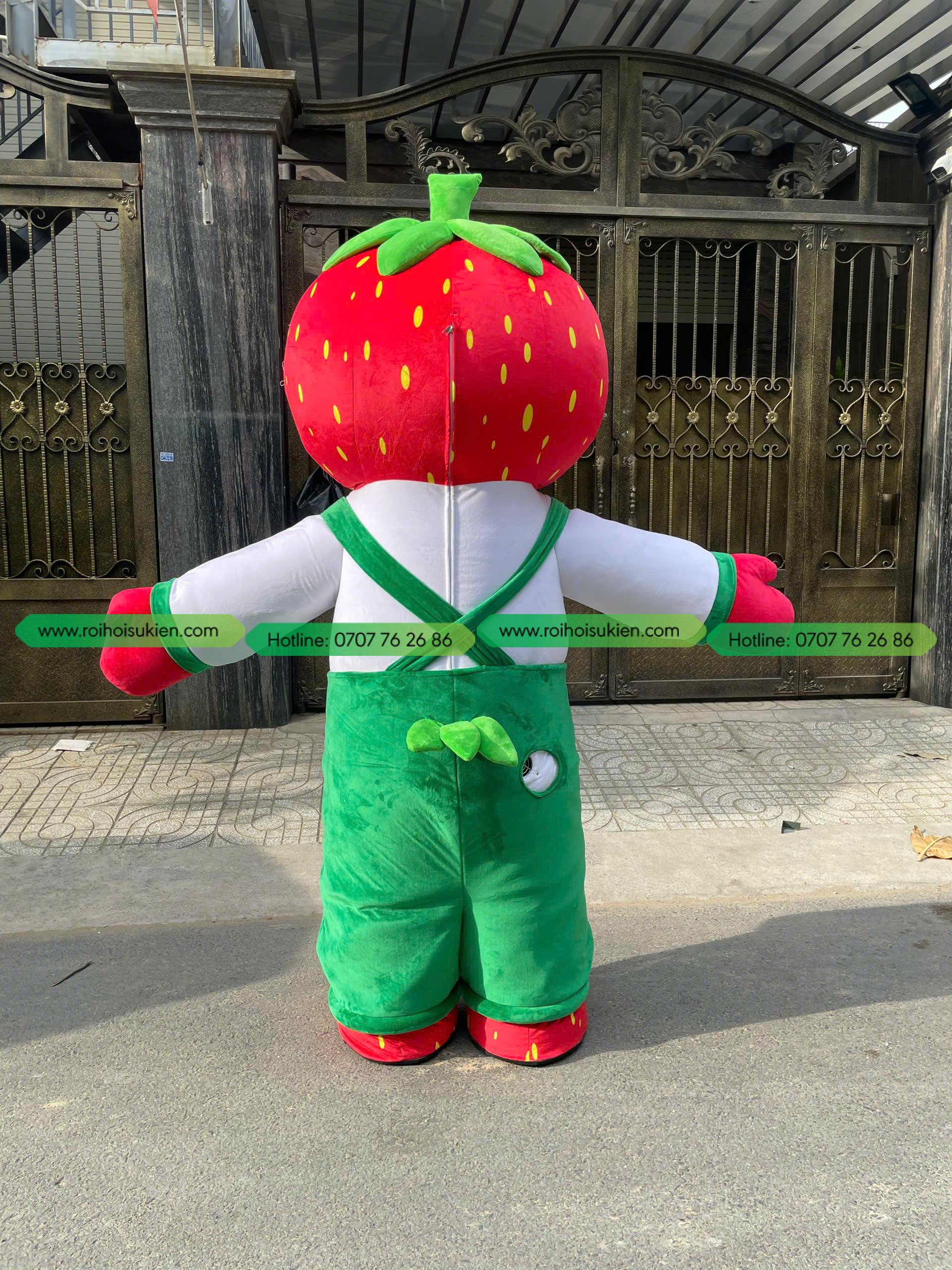 Mascot Cậu Bé Dâu Tây The Canopy 7 1784366775287 6328291126941571919 g7873878496829699800 4962e94eb6a3458757e637bdcdde31e9